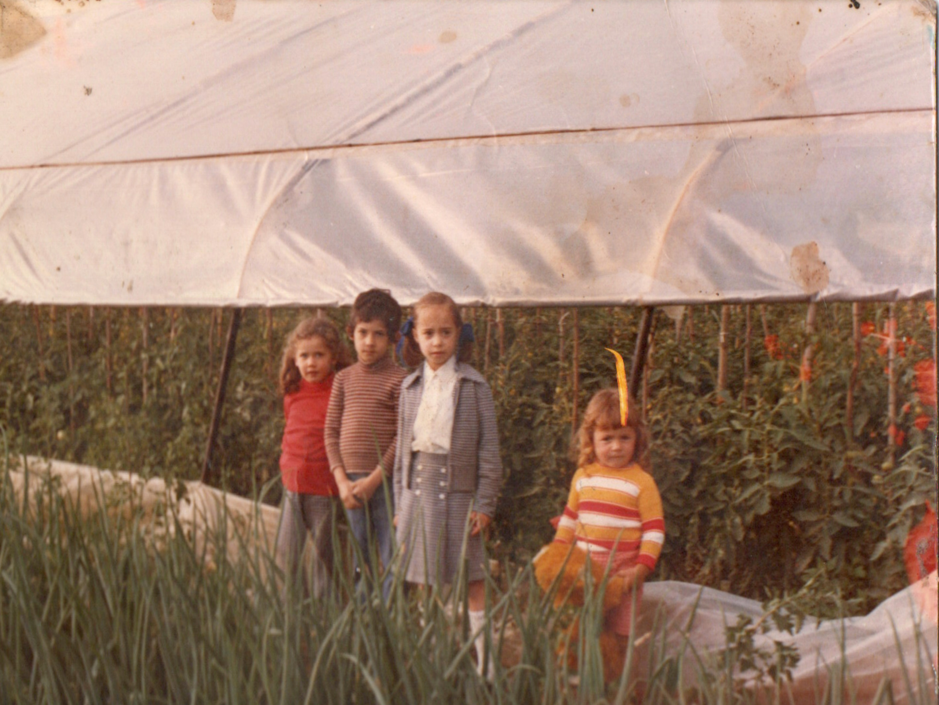img_storia (1)